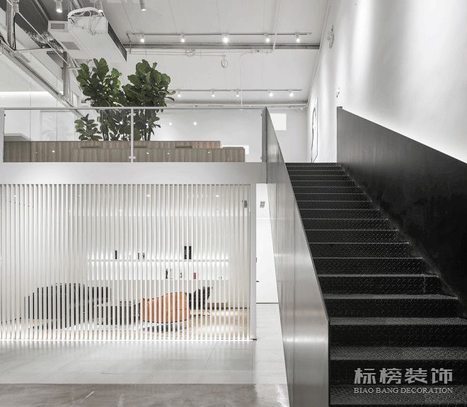 辦公室植物擺放植物有哪些,怎么擺放比較好?